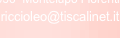 shapeimage_5_link_0