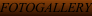 shapeimage_7_link_0
